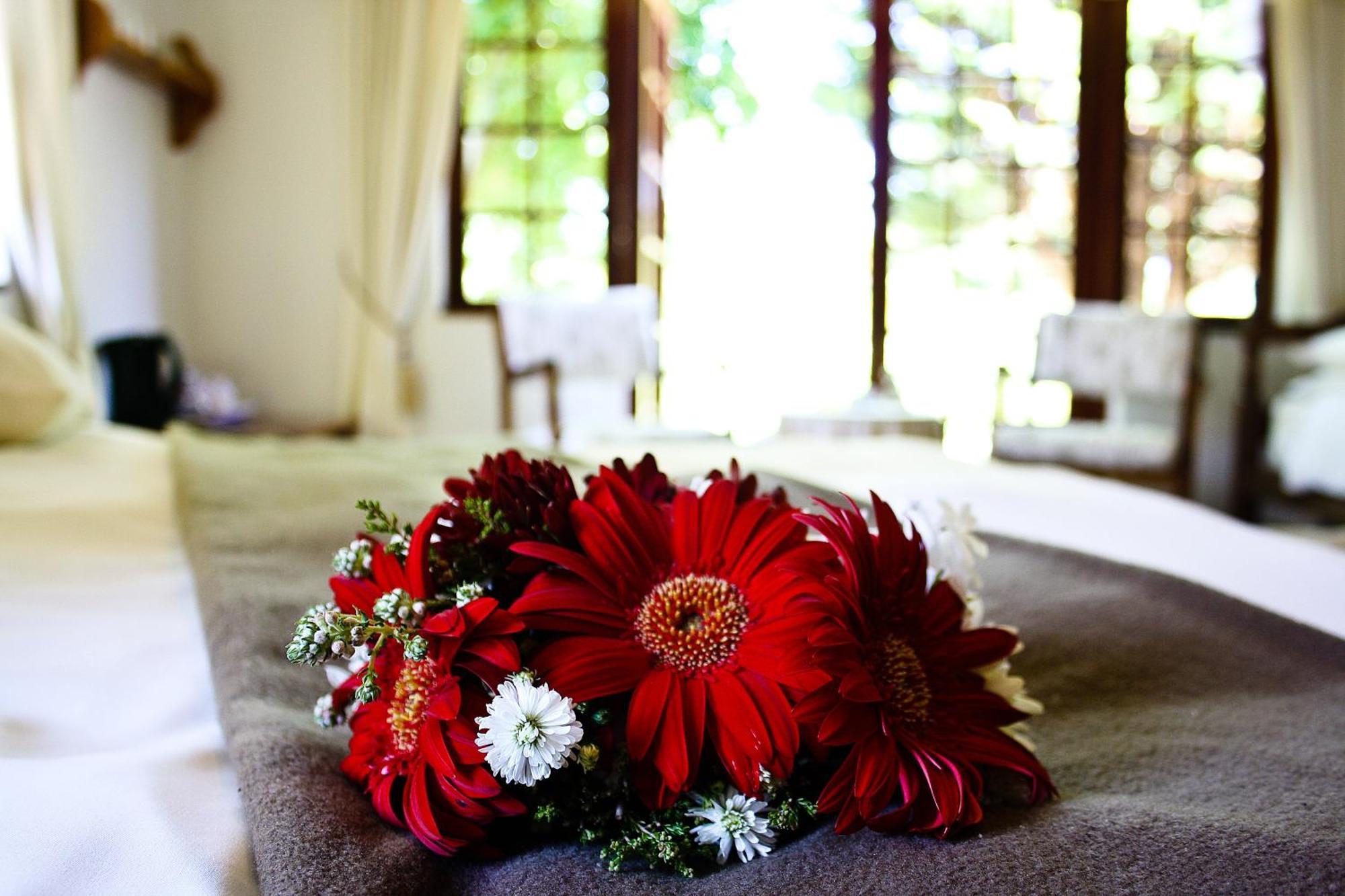 Storms River Guest Lodge Stormsrivier Room photo